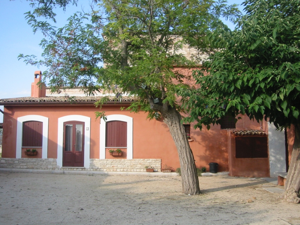 2013 AZ AGR ILLUZZI ITALIA_2