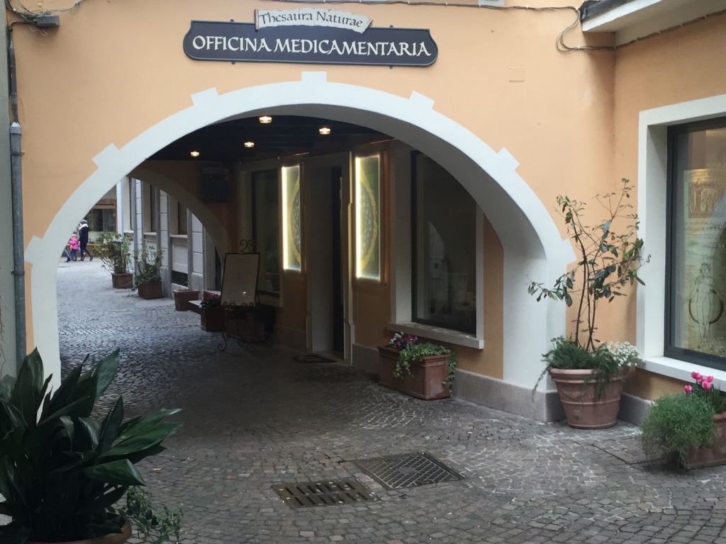 2015_STRESA_3