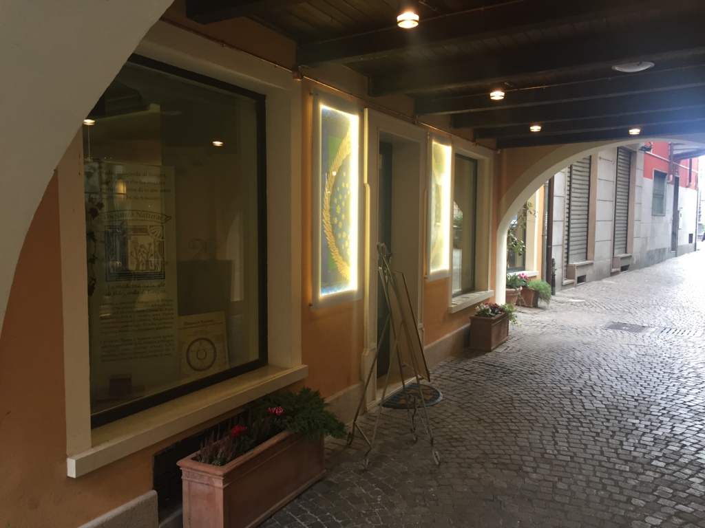 2015_STRESA_7